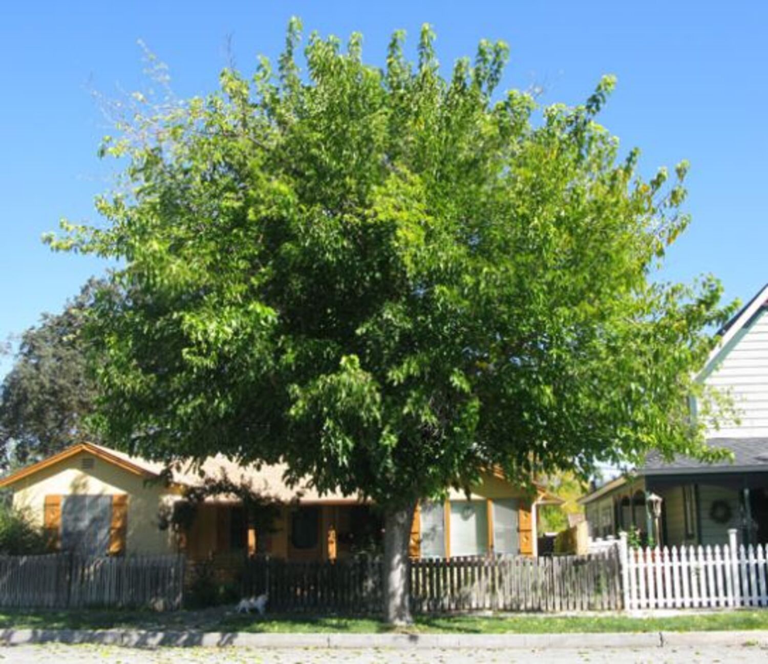 29-CTLG-FULL