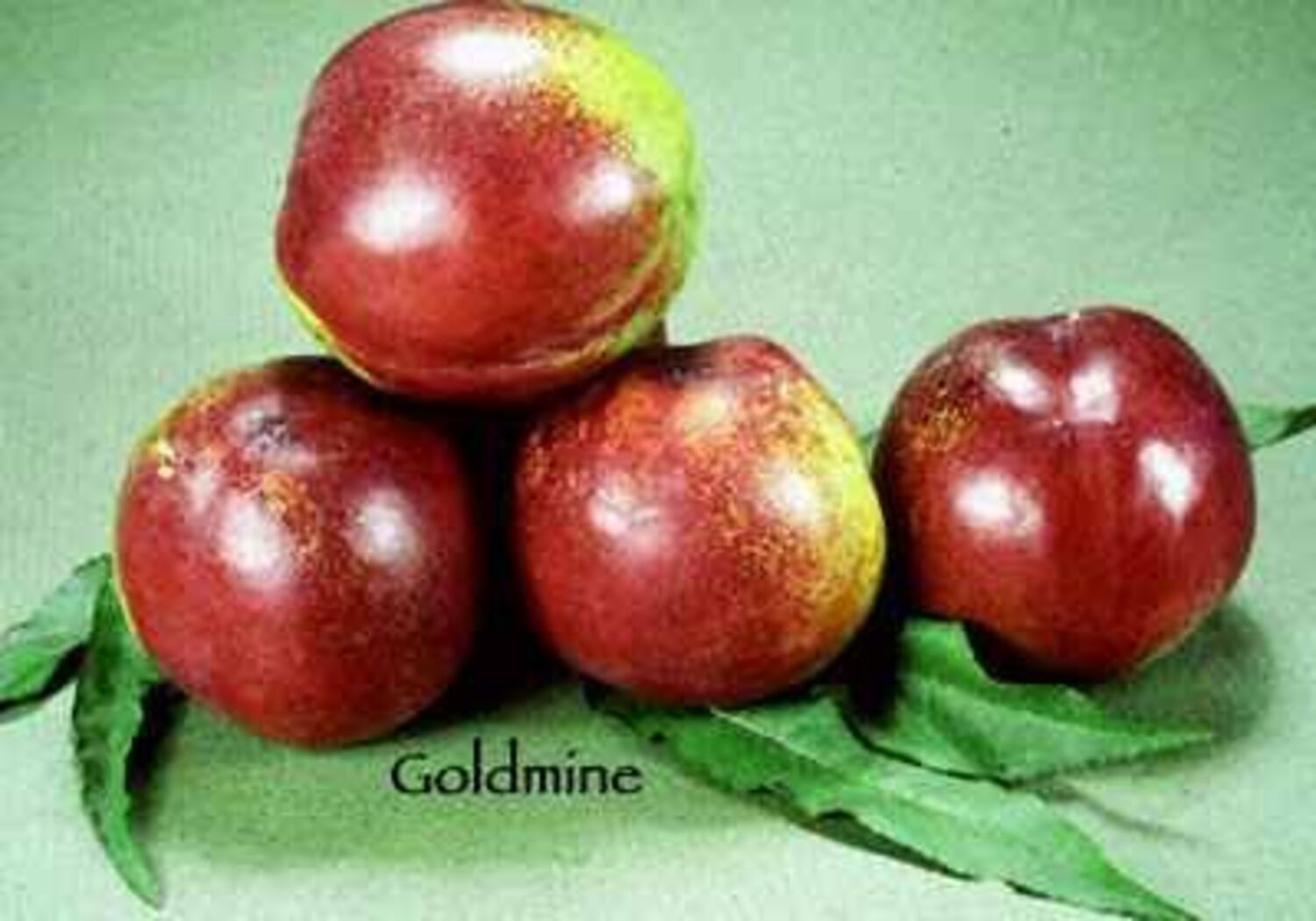 2977-CTLG-FULL