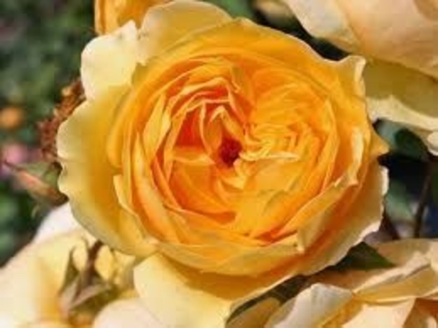 2522-CTLG-FULL