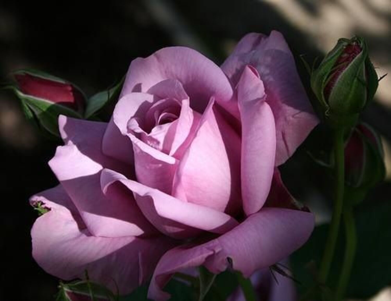 3099-CTLG-FULL