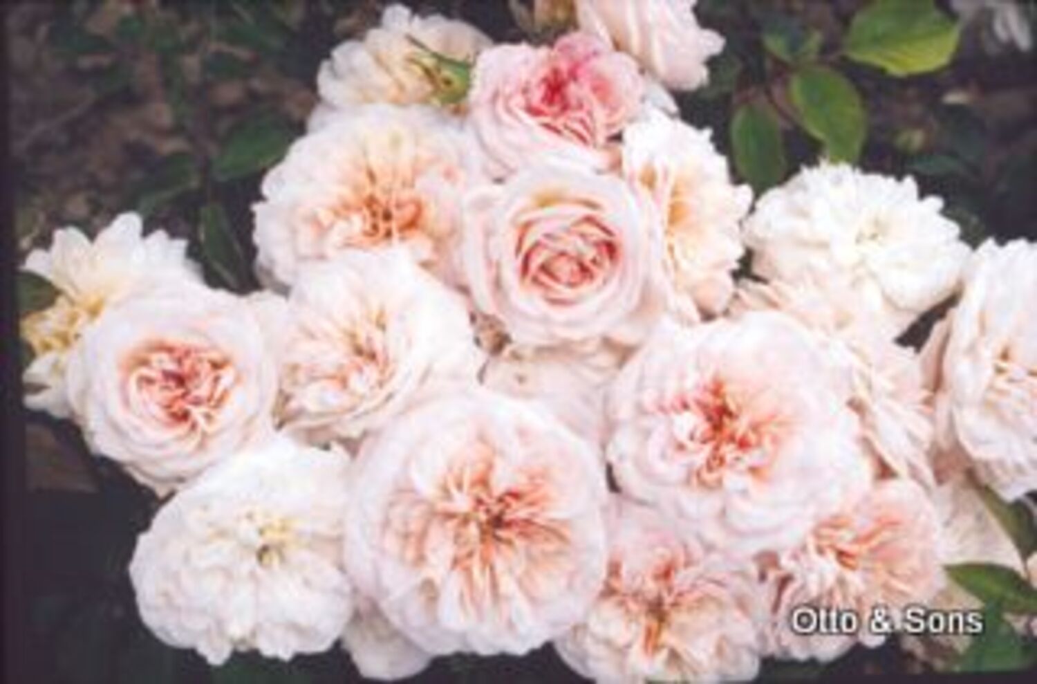586-CTLG-FULL