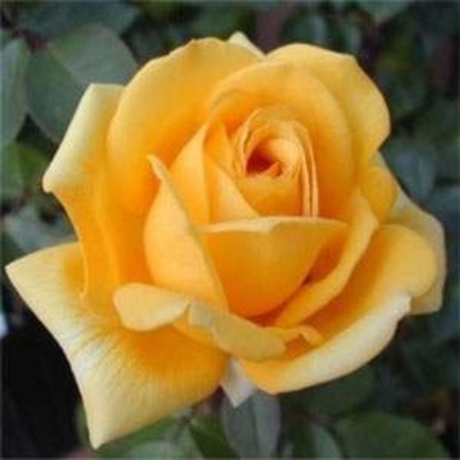 1314-CTLG-FULL