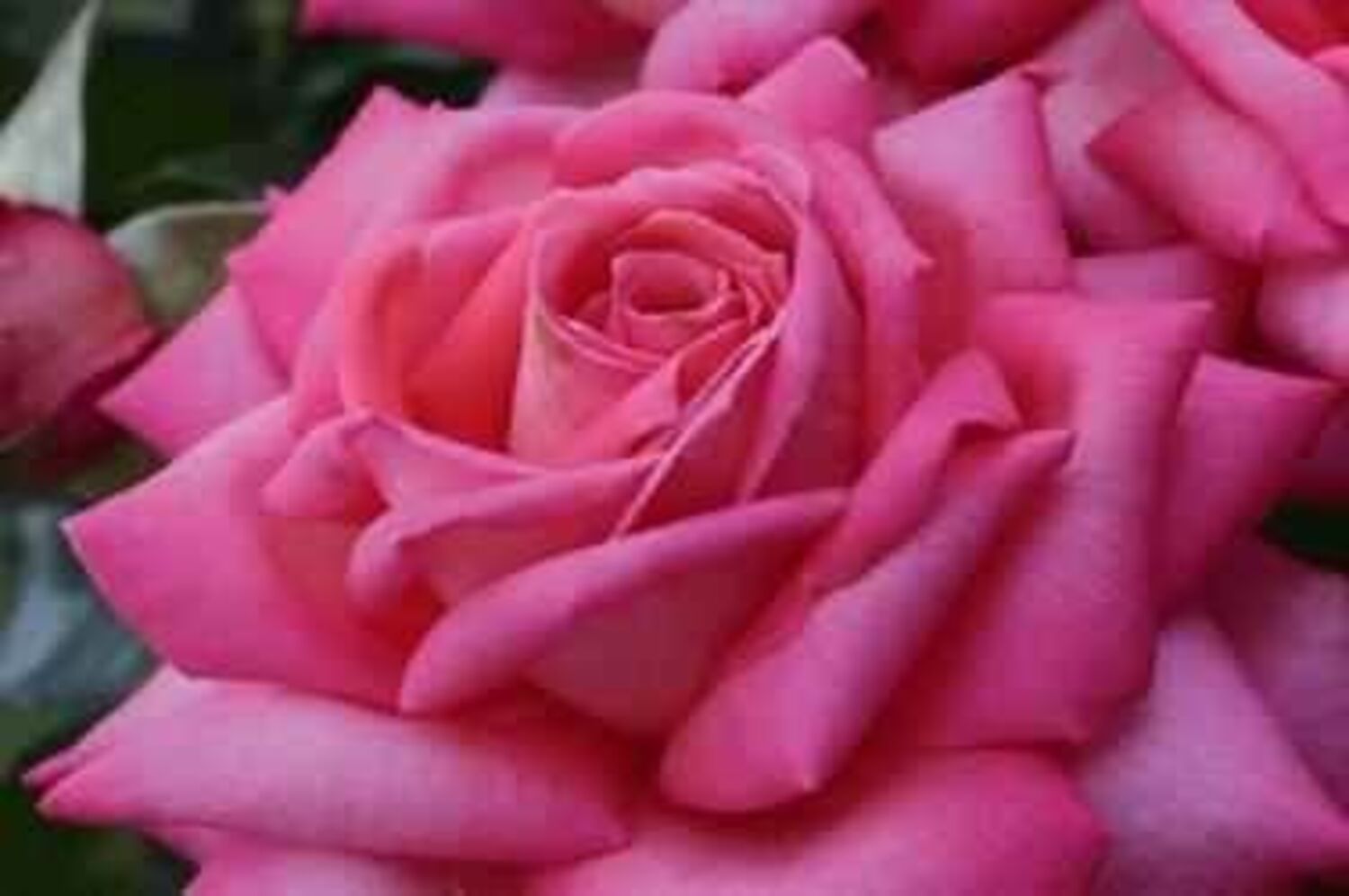 479-CTLG-FULL