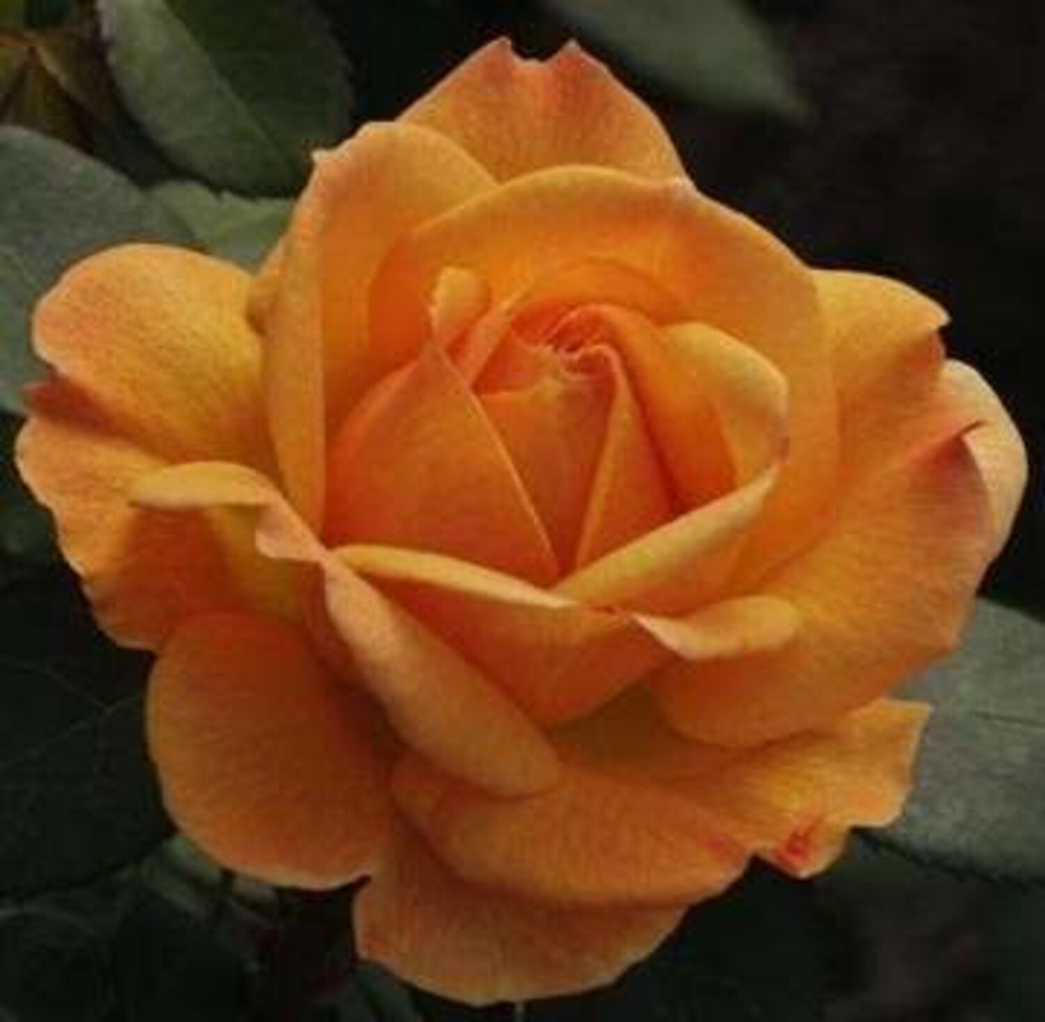 3222-CTLG-FULL