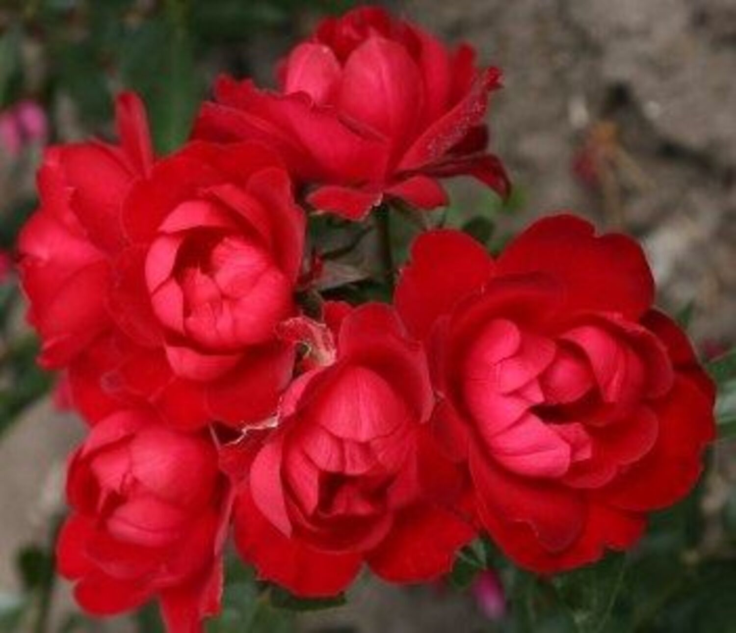 2818-CTLG-FULL