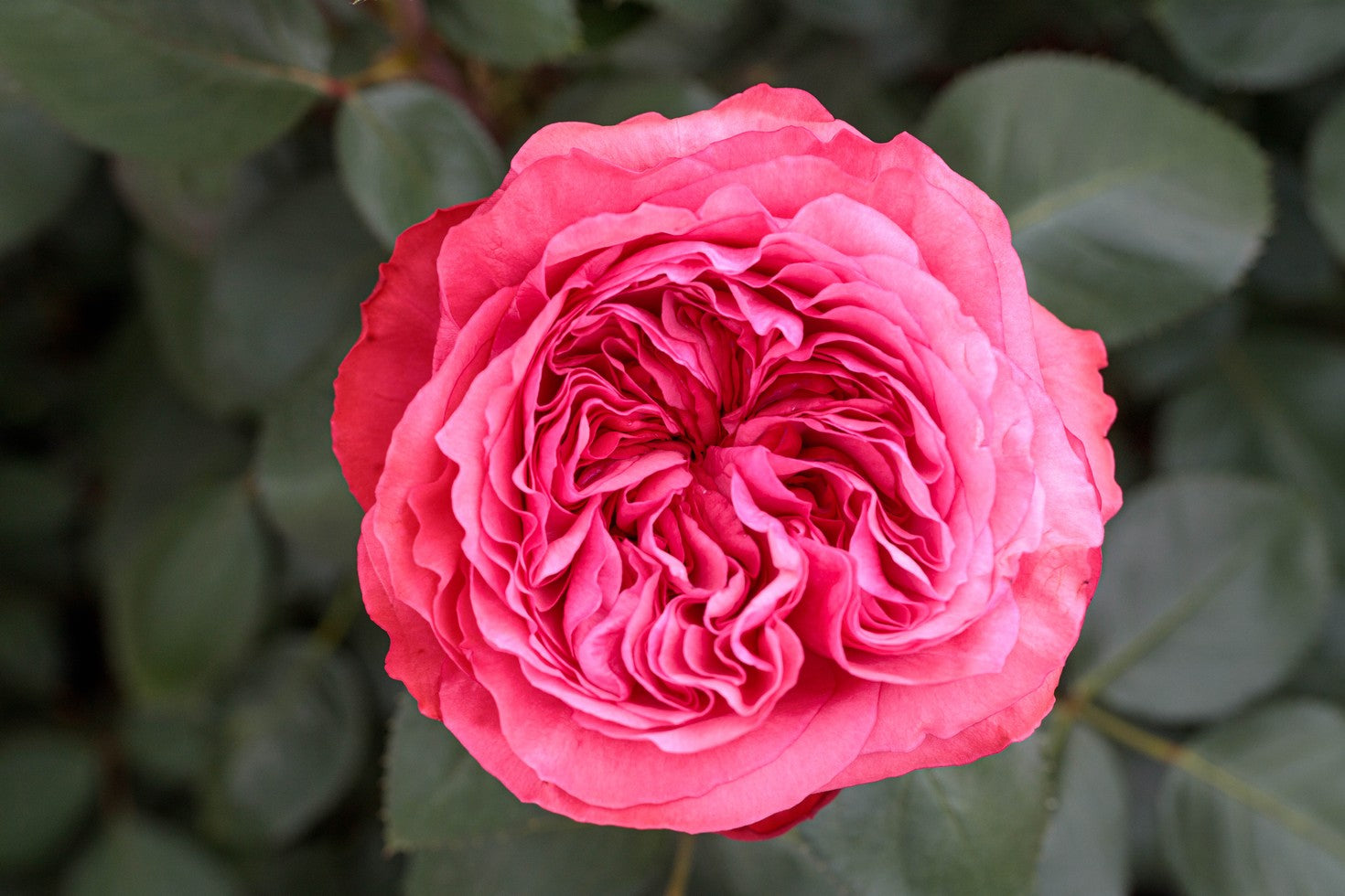 3551-PROD-FULL