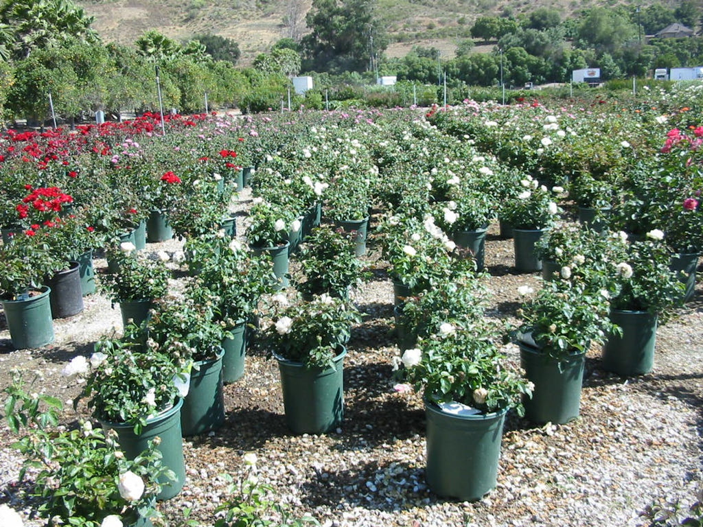 3627-CTLG-FULL