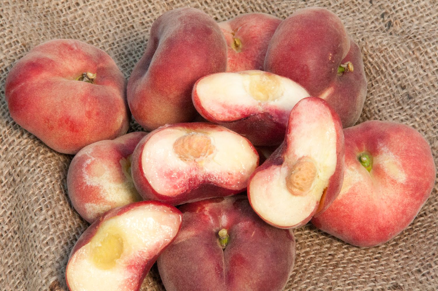 2643-CTLG-FULL