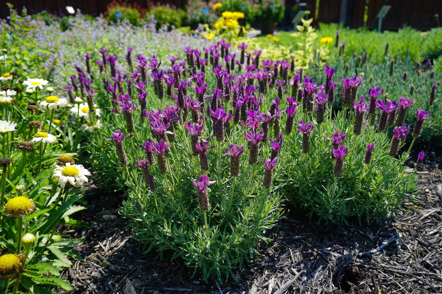 2942-PROD-FULL