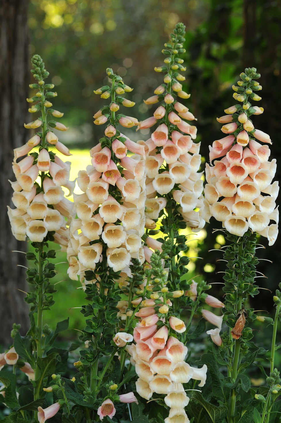 3690-CTLG-FULL
