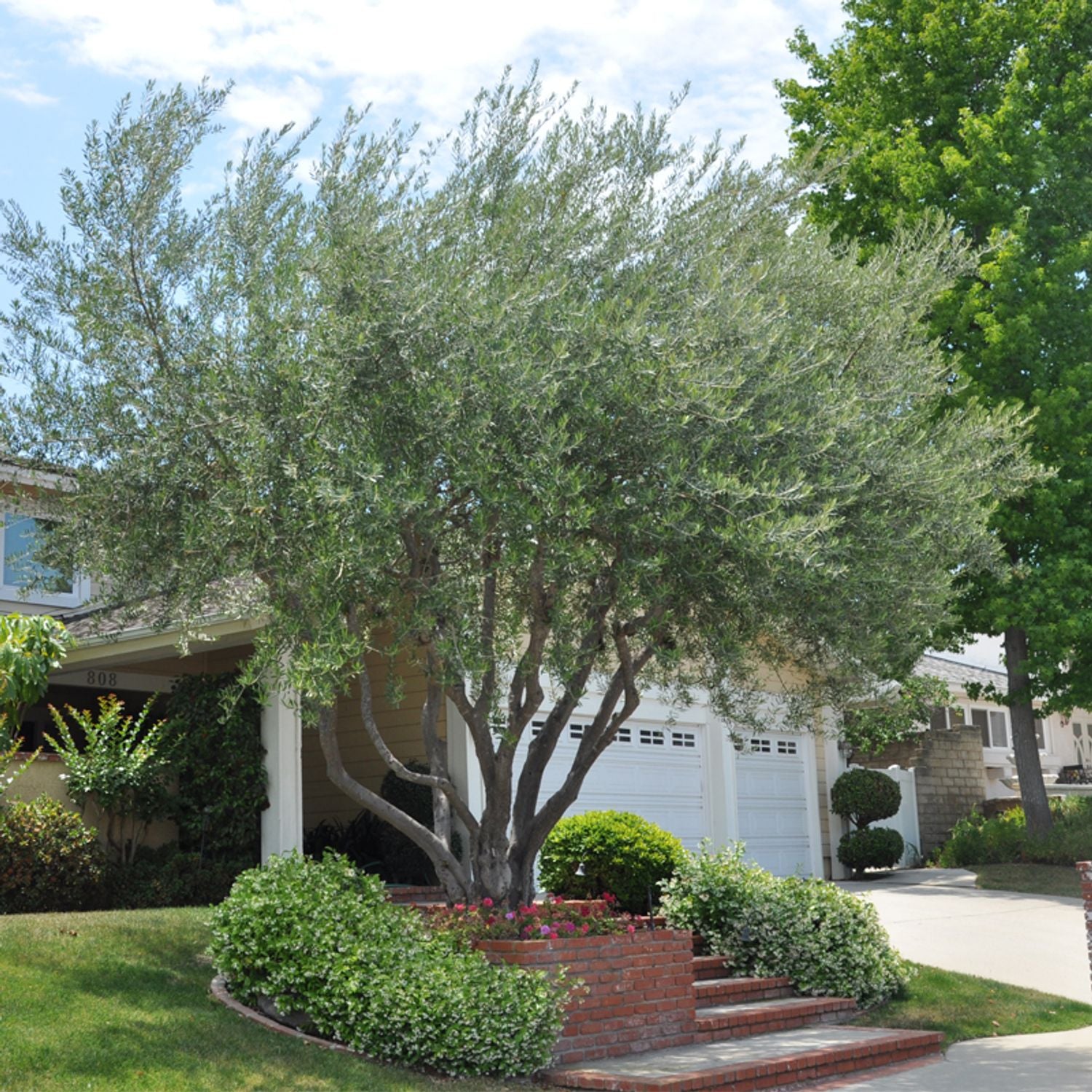 631-CTLG-FULL